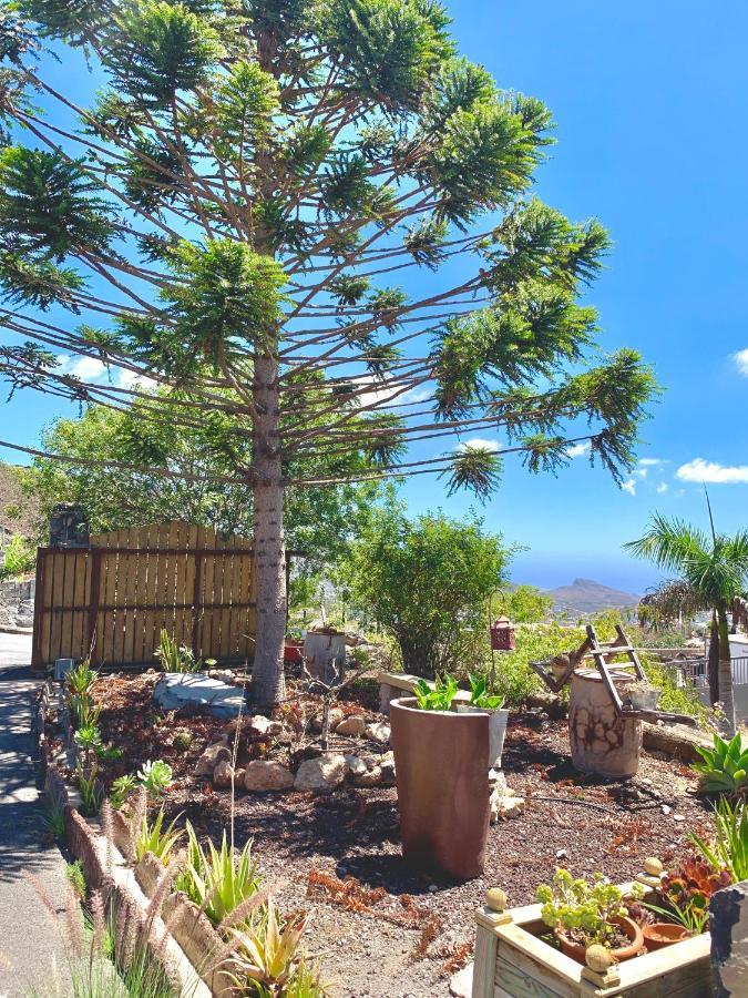 Finca Chimaca Arona  Luaran gambar